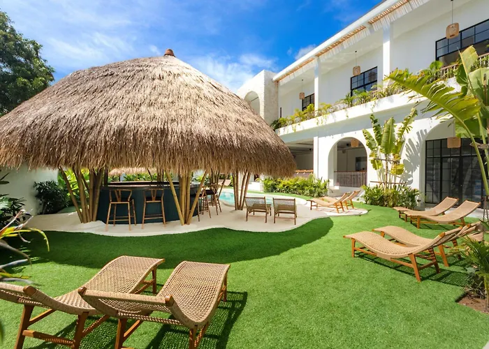 The Lazy Auberge de jeunesse *